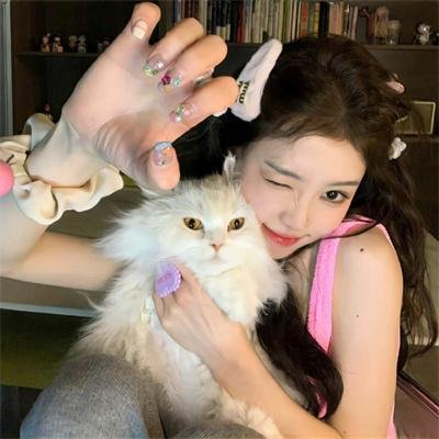 虹猫蓝兔功夫系列二 虹猫仗剑走天涯